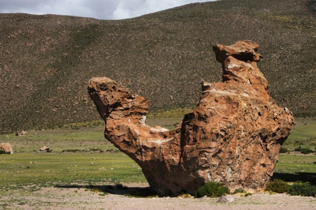 IMG_20170715_150847_129