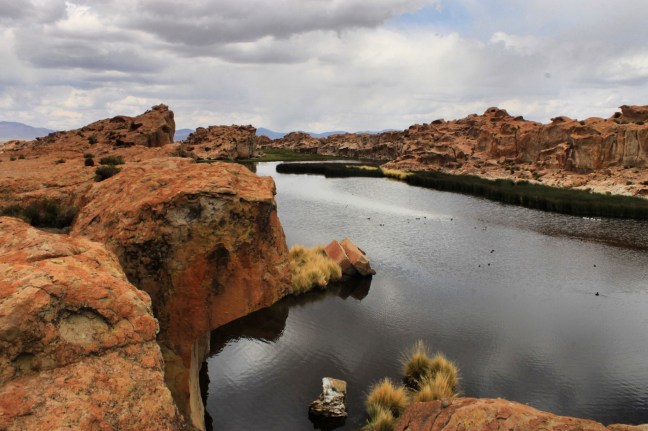 IMG_20170715_152656_500